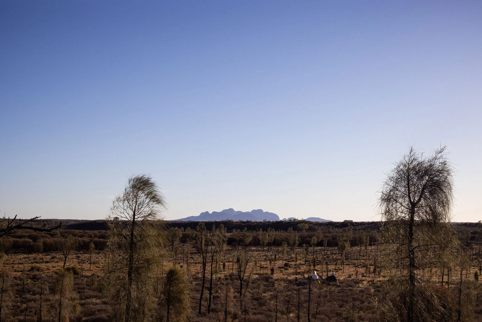 Jason and Janelle on the way to their ceremony on camel back with Katu Tjata in the background