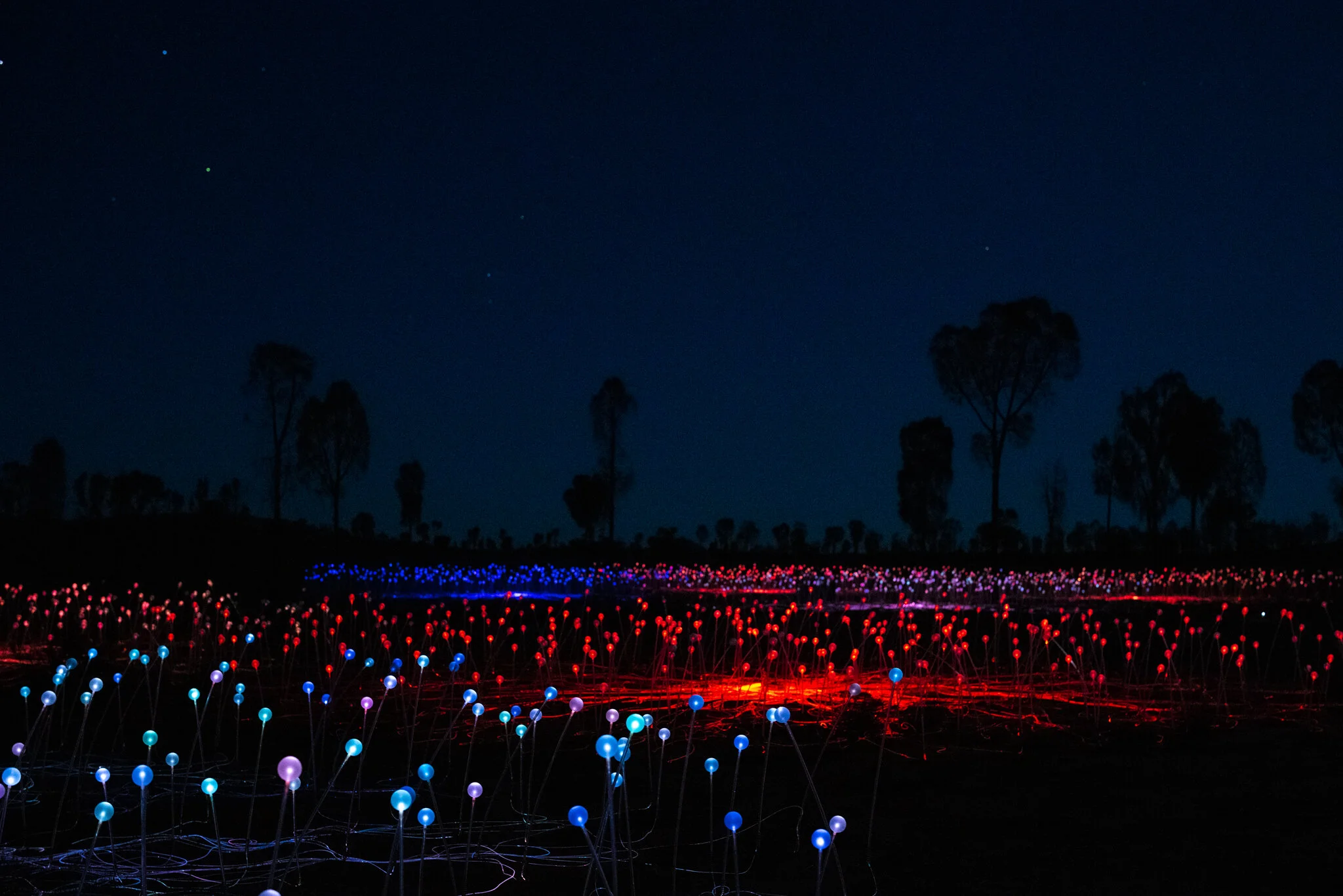The field of light pre sunrise, the morning after J & J’s elopement