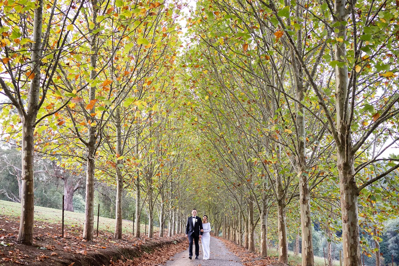  Larissa and Ciaran’s elopement 